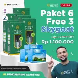 propolis-hepro-trigona-asli-indonesia-paket-6-botol-paket-rekomendasi