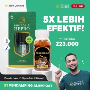 paket-1-botol-propolis-hepro-plus-trigona-gold-100-kaps